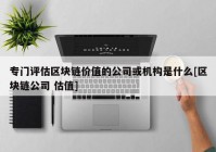 专门评估区块链价值的公司或机构是什么[区块链公司 估值]